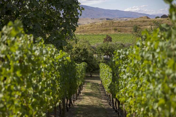 45 Domain Road Bannockburn_18