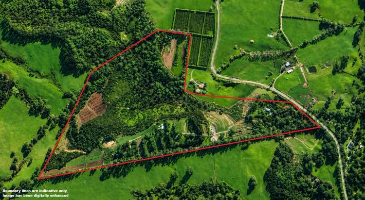 501 Purangi Road Purangi_1