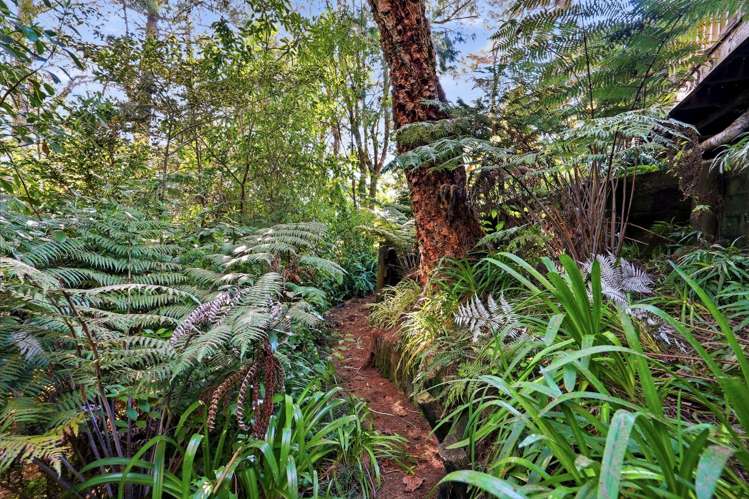 11A Saddleback Rise Murrays Bay_43