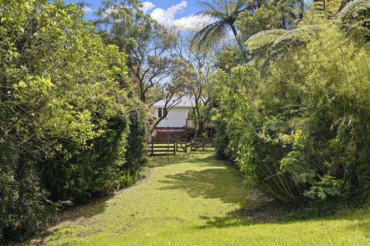 186b Huatoki Street Upper Vogeltown_18