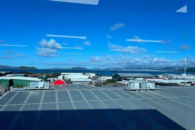 106 Jackson Street Petone_9