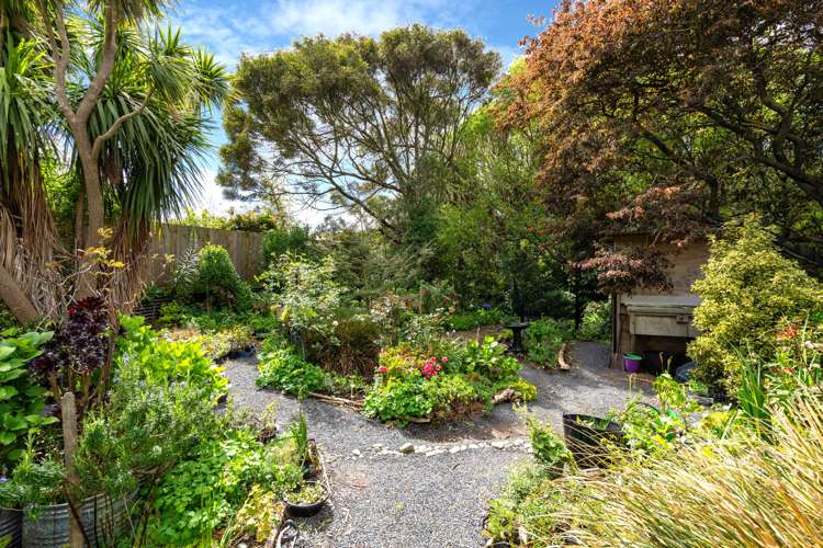 13 Pearse Street Brighton_21