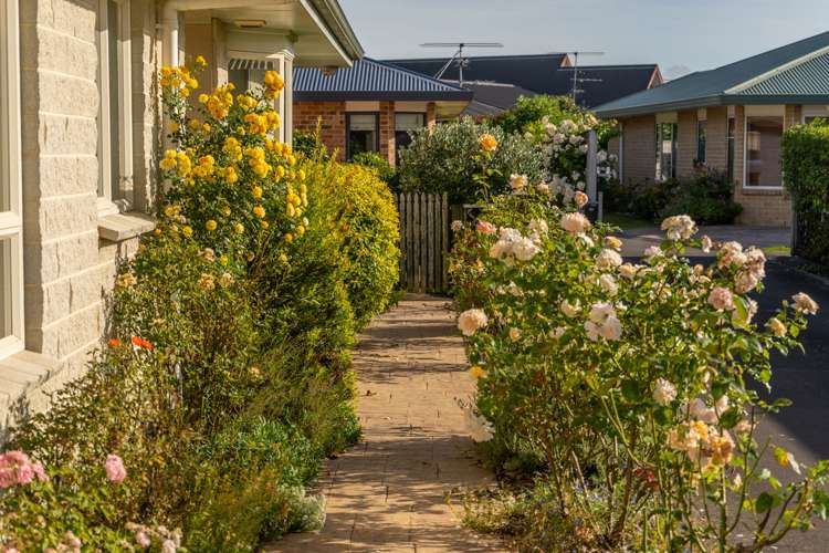 30 Cole Street Masterton_16