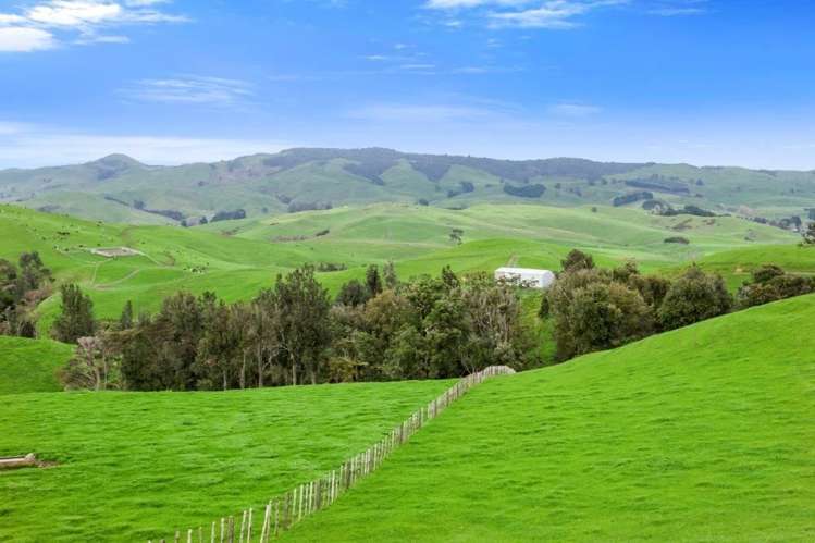 500 Tahuroa Road Tauwhare_2