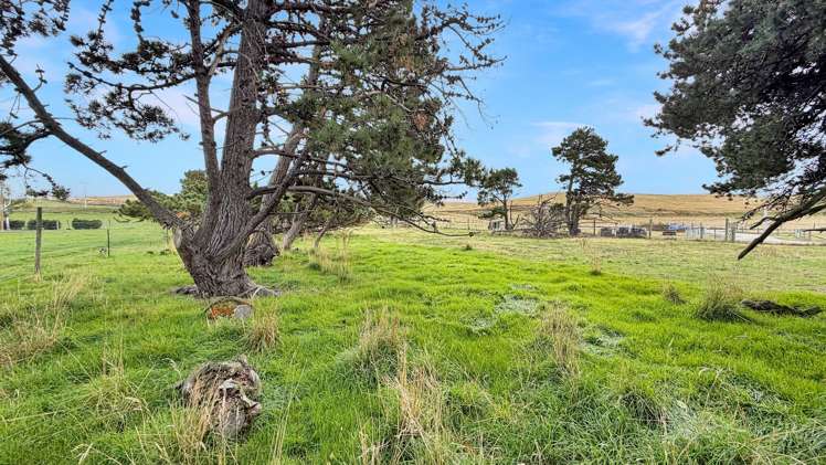 4058 Becks-Lauder Road Becks Omakau_11