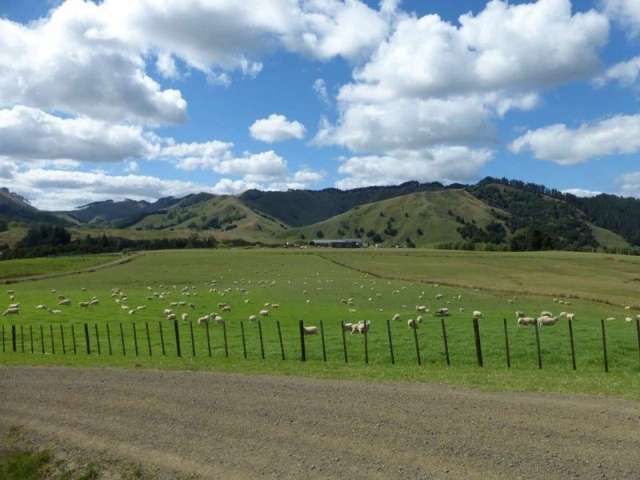 1577 Tangowahine Valley Road Dargaville Surrounds_1