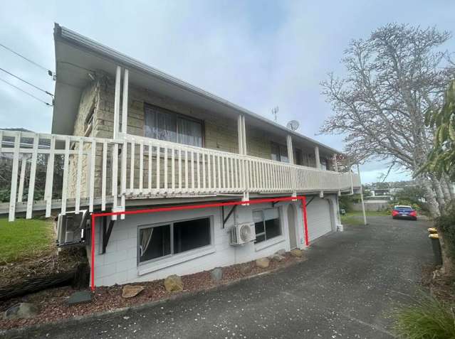 38A Killarney Avenue Torbay_1