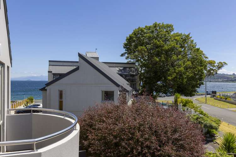 1/7 Tui Street Bird Area_23