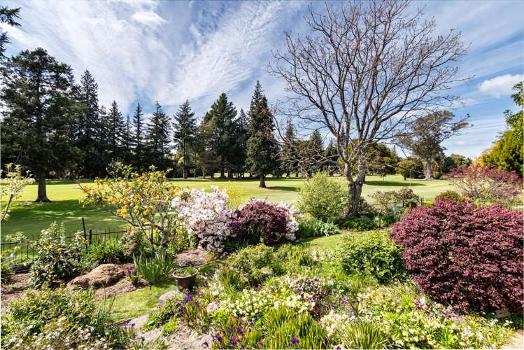 26 Teece Drive Motueka_3