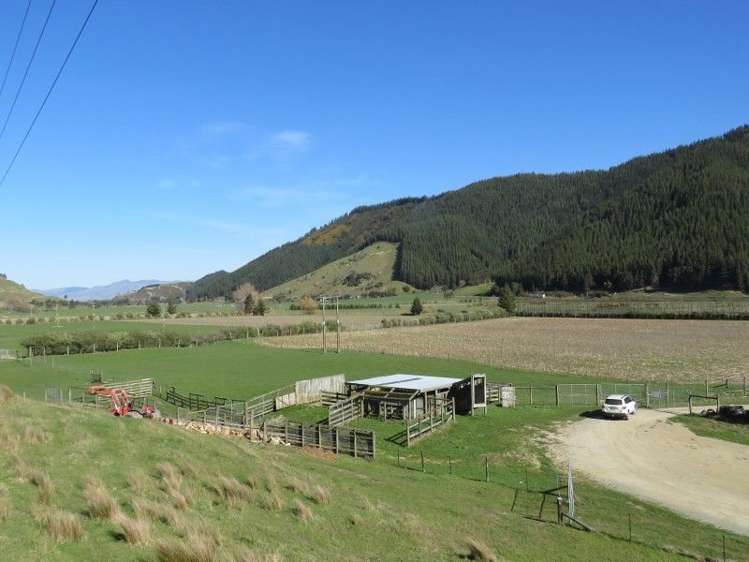 58 Leslies Road Havelock_7