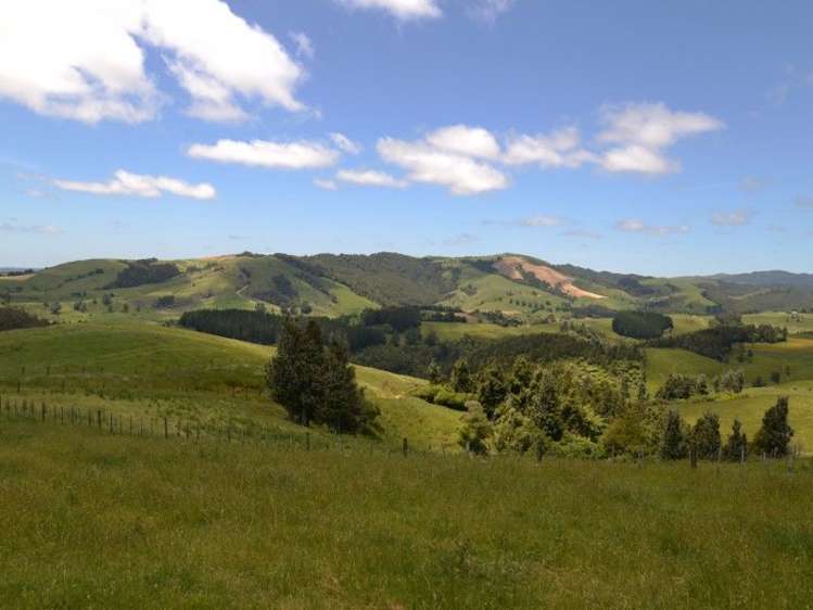 184 Grice Road Wharepuhunga_7