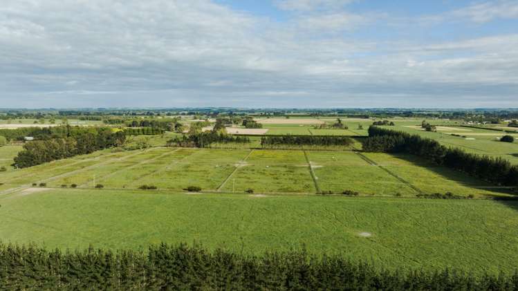 311 Kairanga Bunnythorpe Road Bunnythorpe_26