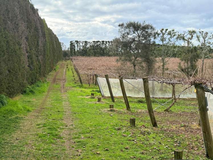 881B Te Matai Road Te Puke_18