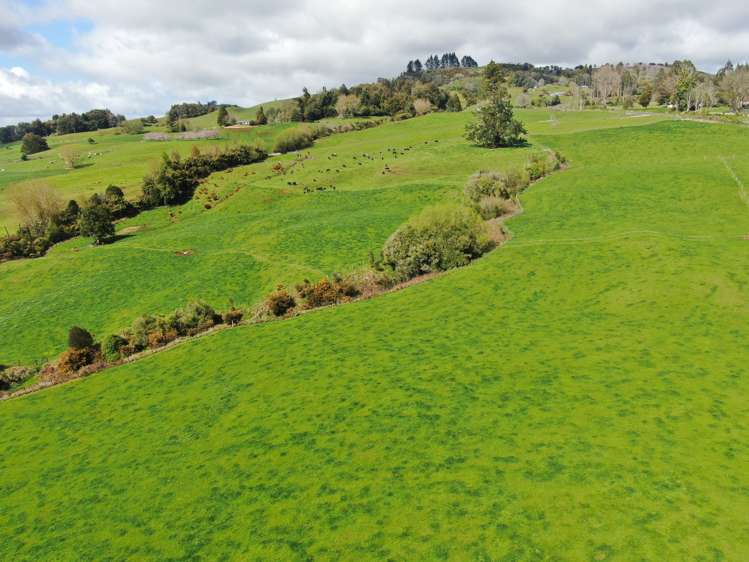 694 Troopers Road Te Kuiti_3