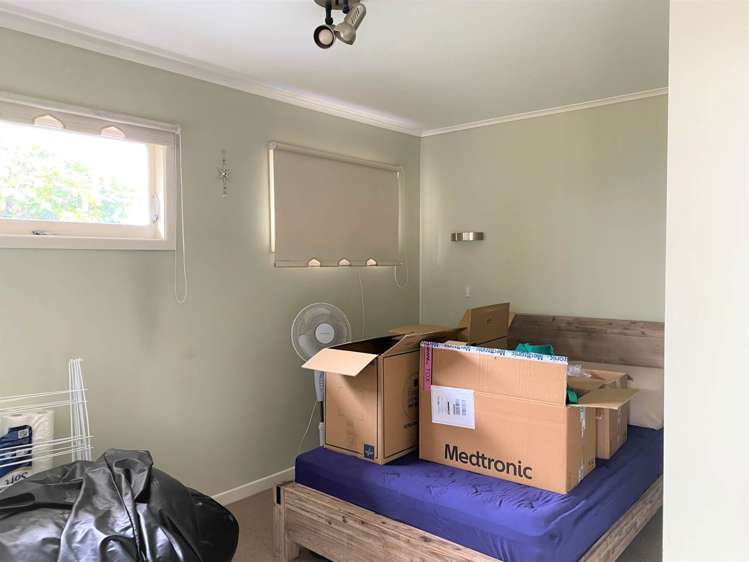 81 Carlton Street Hillsborough_7