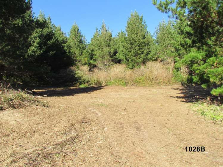 1028 A,B,C McIvor Road Rotoma_15