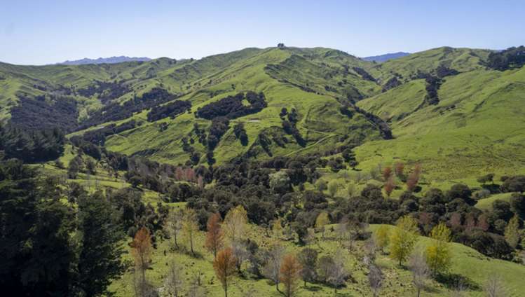 7 Hikawera Road Hinakura_3