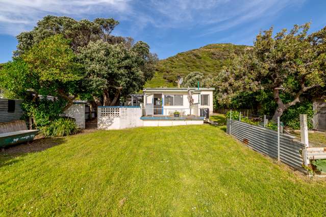 1598 Cape Palliser Road Cape Palliser_1