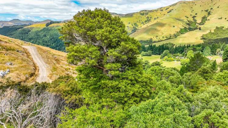 1467 Western Valley Road Port Levy_4