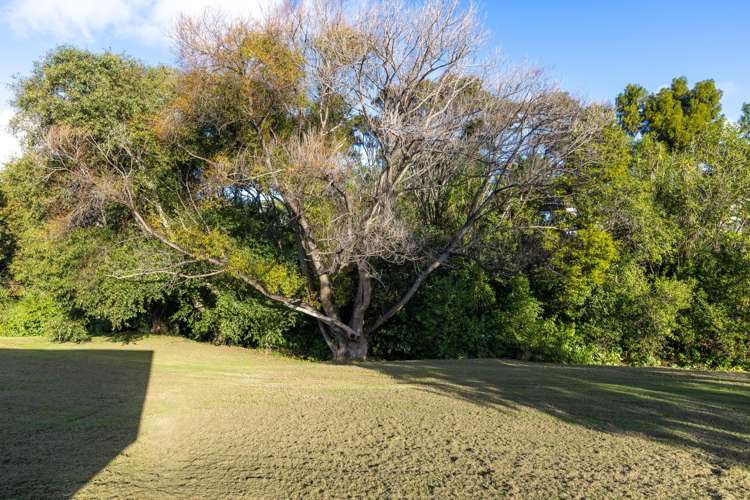 61 Hauraki Road Leigh_16