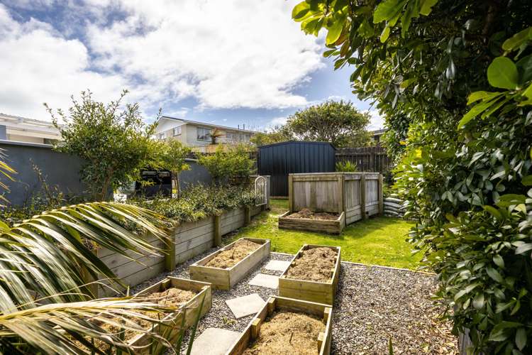 31a Hua Street Bell Block_22