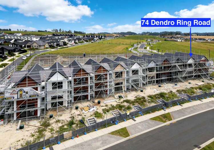 74 Dendro Ring Road_0