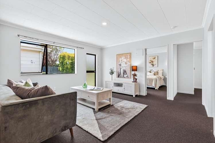 11 Kiwi Street Bird Area_8