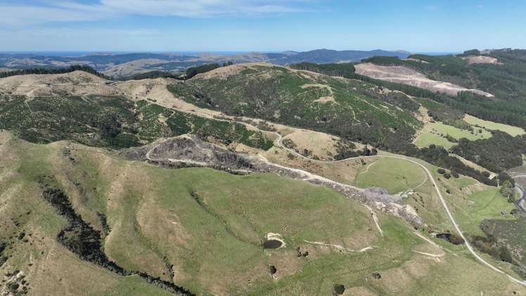 Paruwai Road Ruakokoputuna_7