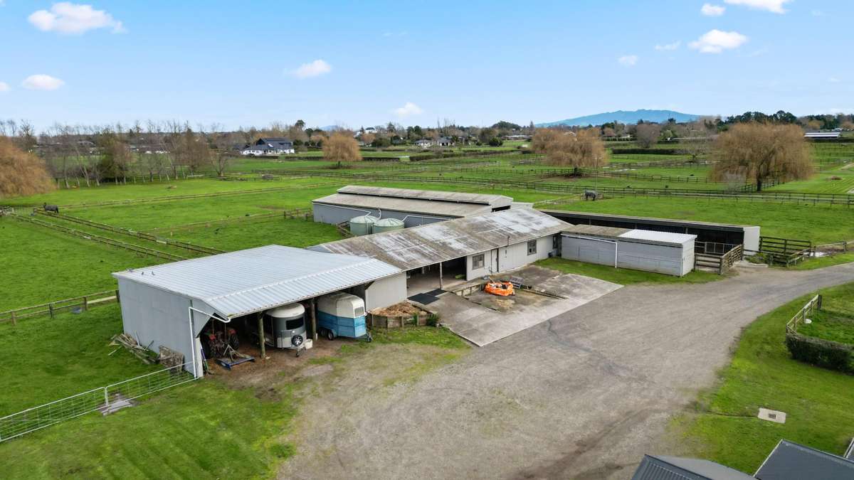59 Racecourse Road_5