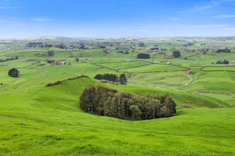 500 Tahuroa Road Tauwhare_30