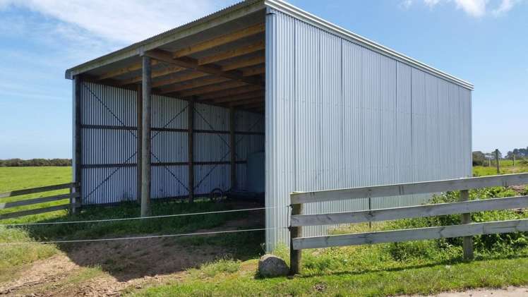 2369 Eltham Road Opunake_15