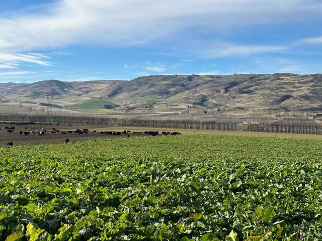 Kinaston Road, Roxburgh East Roxburgh_4