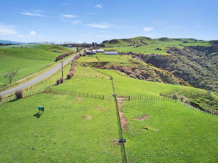 131 Tiromoana Road Eltham_11