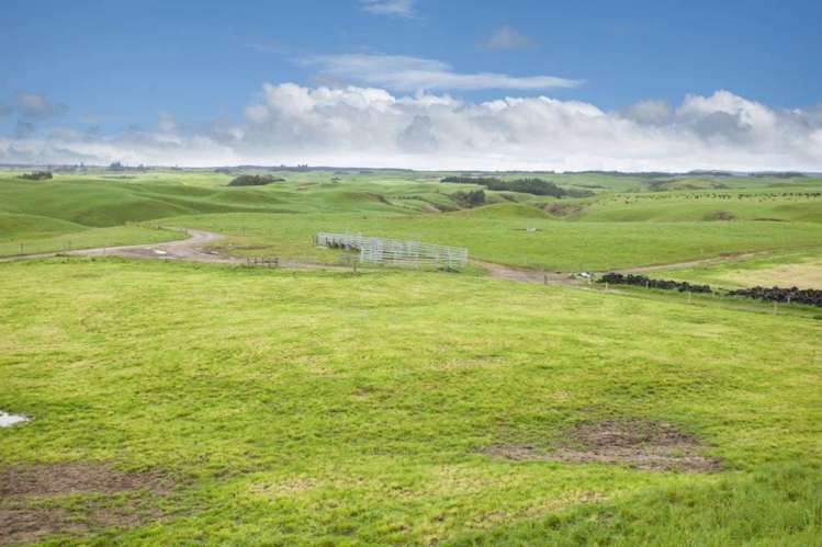 81 Key Road Kinleith_5