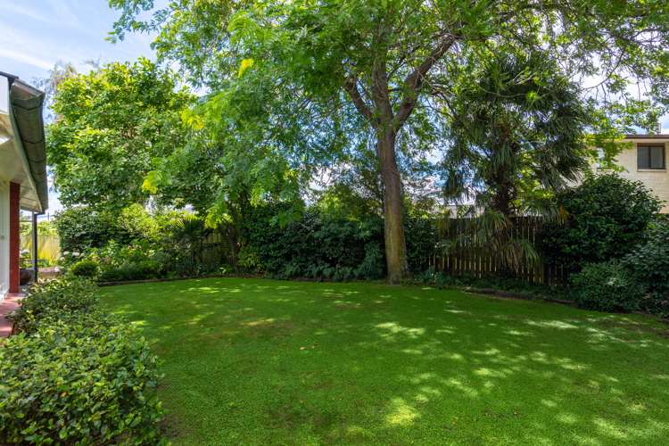 56a Maxwell Road Blenheim Central_12