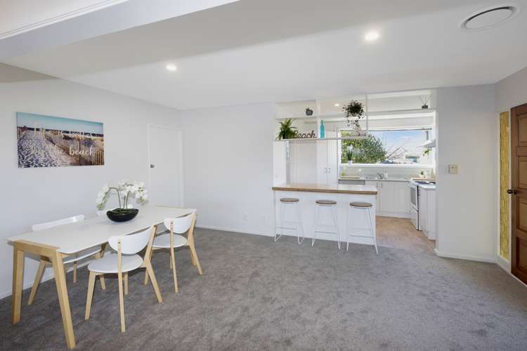 6 Arawa Street Shirley_15