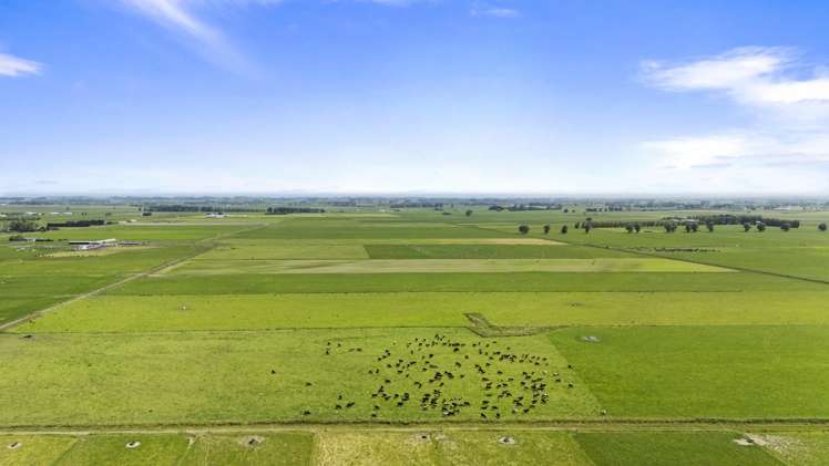 145 Campbells Road Opiki_6