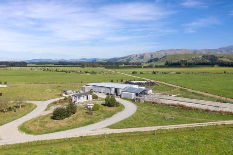 793 Peel Forest Road Mesopotamia_31