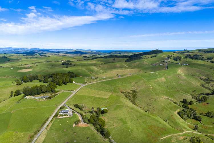 62 Cornes Road Raglan_23