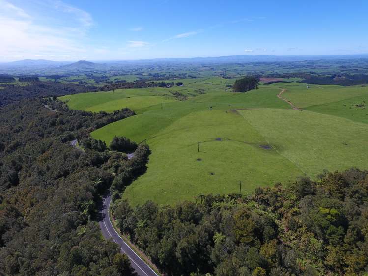 Pekanui Road Puketotara_19