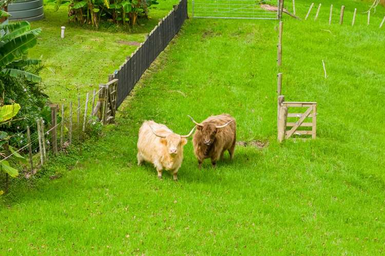 2239B State Highway 12 Paparoa_34