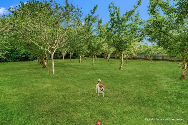 14C Smith Street Waimate_4