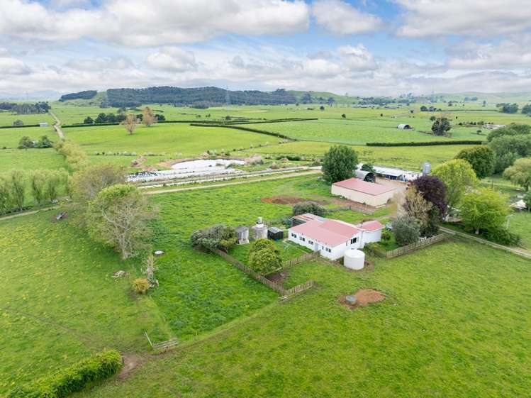 1266 Tauhei Road Morrinsville_4