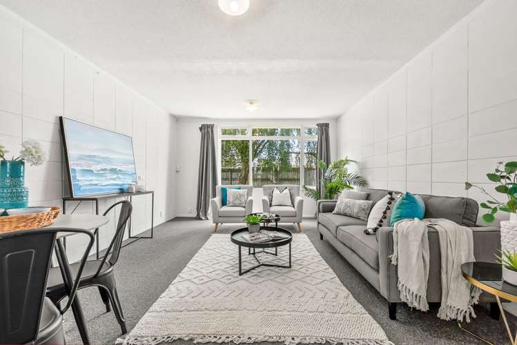 11g Britannia Street Petone_1