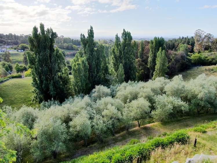 162 Lane Road Havelock North_10