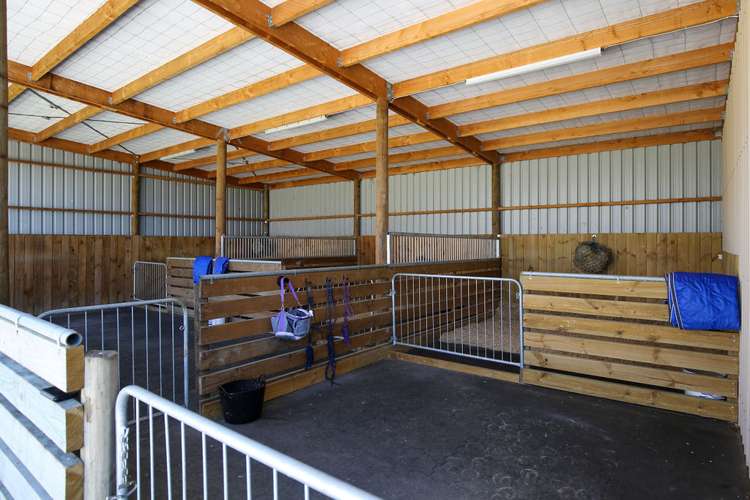 118 Patons Rock Road Kahurangi National Park_13