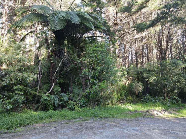 353 Pretoria Road Shannon_7