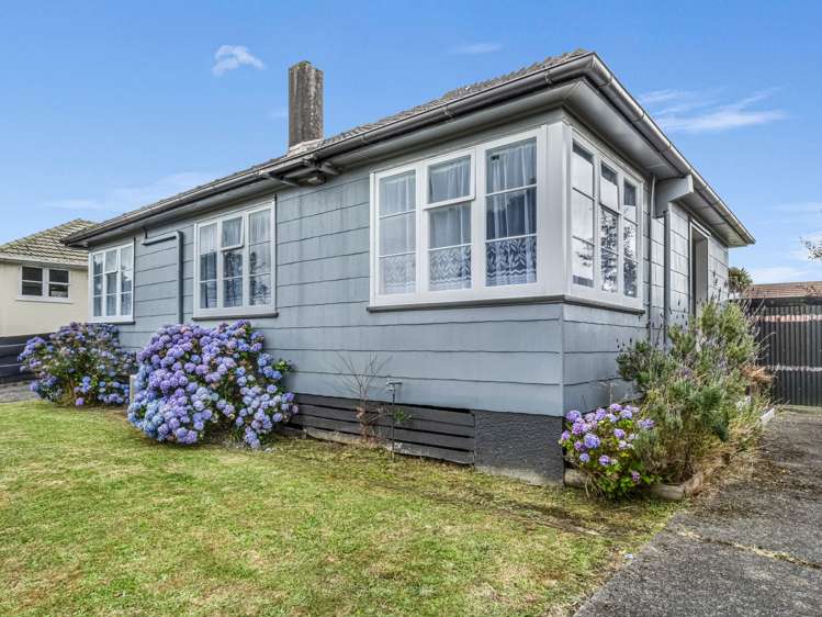 17 Ngarimu Street Roslyn_17