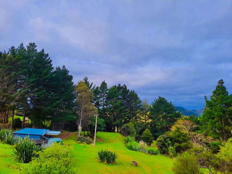 184 Whangape Road Herekino_8