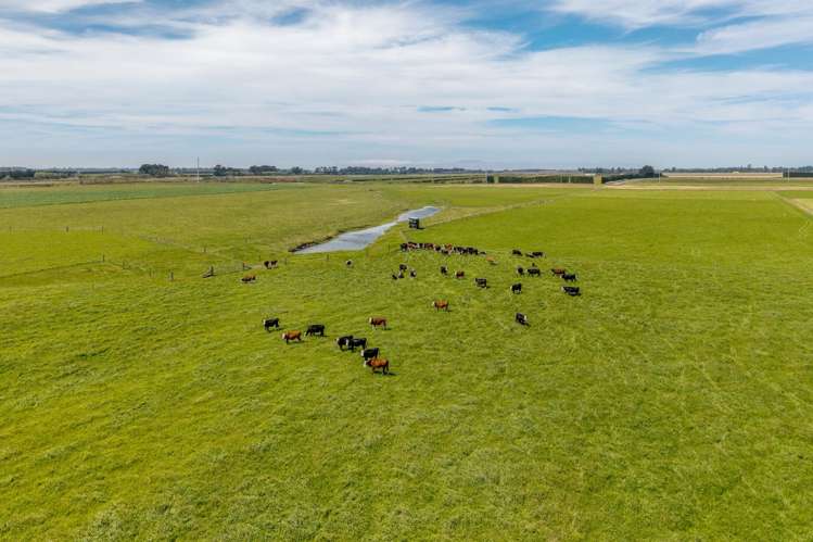 83 Highfield Road Dunsandel_9